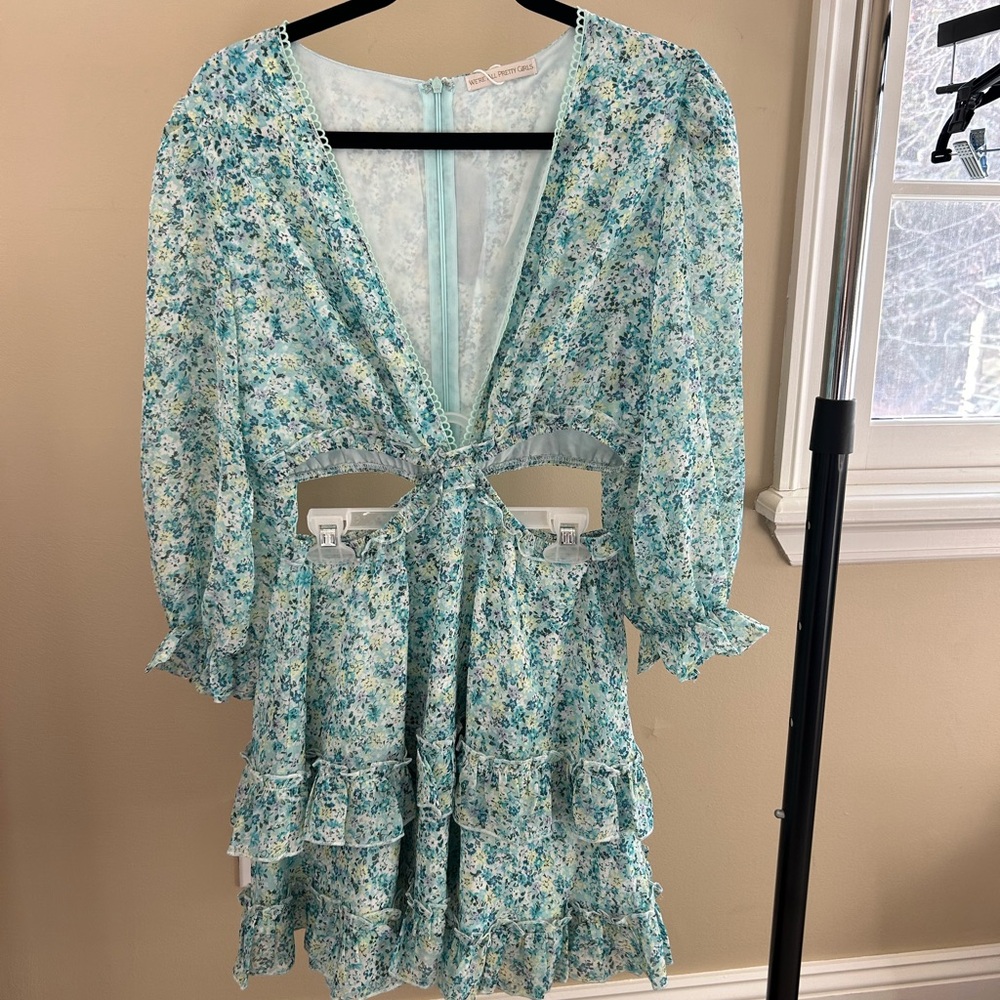WAPG Floral Blue Mini Dress